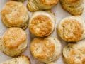 Mini Garlic Herb Biscuits by Wood and Spoon blog. These are bite-sized southern style biscuits layered with garlic, herbs, and loads of butter. These breakfast breads make a great side option for suppers but can also be used as a base for breakfast sandwiches and more! Learn how simple it is to make them on thewoodandspoon.com