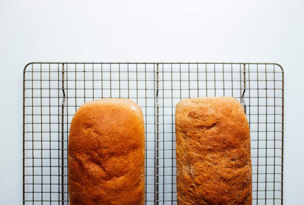 Whole wheat sandwich bread recipe by the wood and spoon blog by kate wood. This is a fluffy, healthy, 100% whole wheat sandwich bread that is fluffy and mild tasting. This is a homemade bread good for kids to eat. Makes great toast and sandwiches. Made soft with vital wheat germ. Naturally sweetened with honey. Find the recipe on thewoodandspoon.com